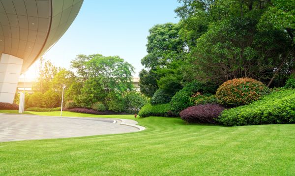 Cost of Commercial Lawn Mowing in Reno