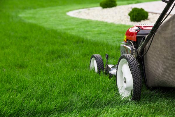 Lawn Cutting Service in Reno