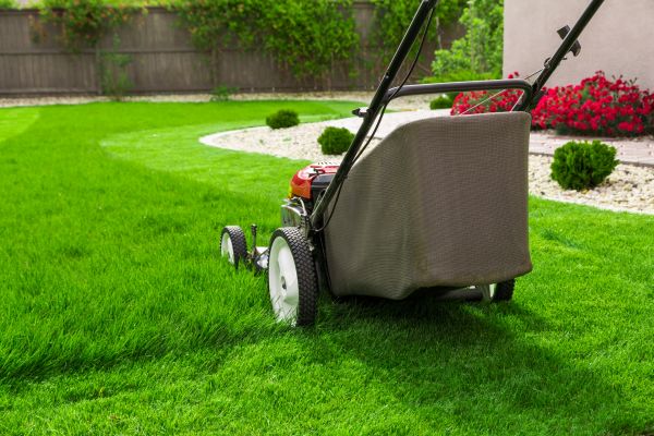 Lawn Mowing in Reno