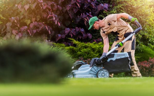 Yard Care Service in Reno