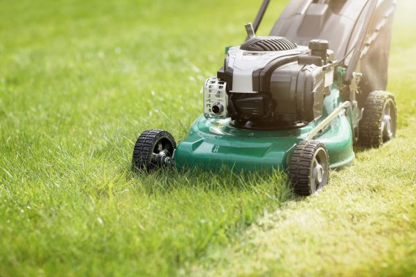 Yard Cutting in Reno