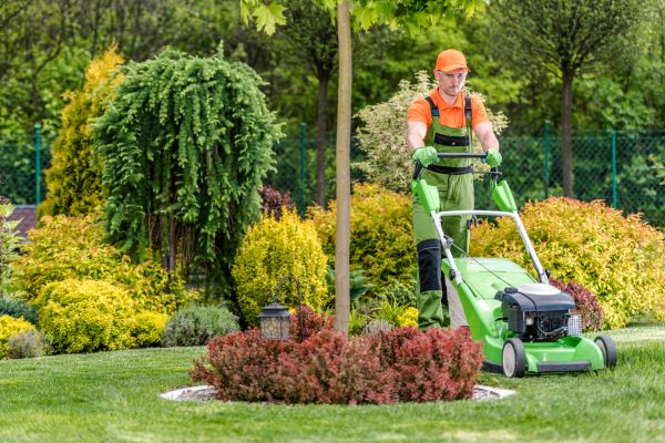 Yard Service in Reno