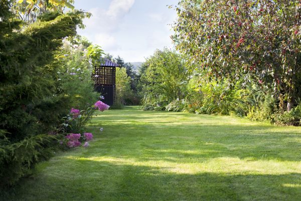 Yard Upkeep Service in Reno