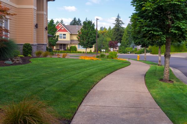 Home Lawn Maintenance in Reno