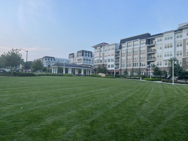 Urban Lawn Care in Reno