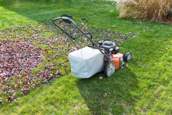 Seasonal Lawn Care in Reno