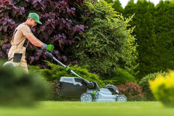 Lawn Management in Reno