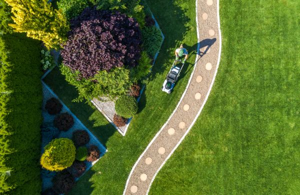 Mowing And Landscaping in Reno