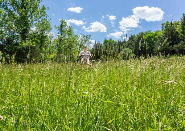 Cost of Long Grass Mowing in Reno