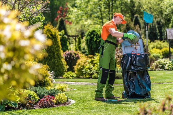 Lawn Cleaning Service in Reno