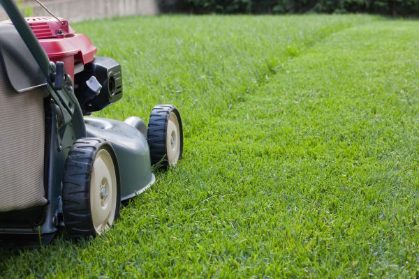 Summer Lawn Care in Reno