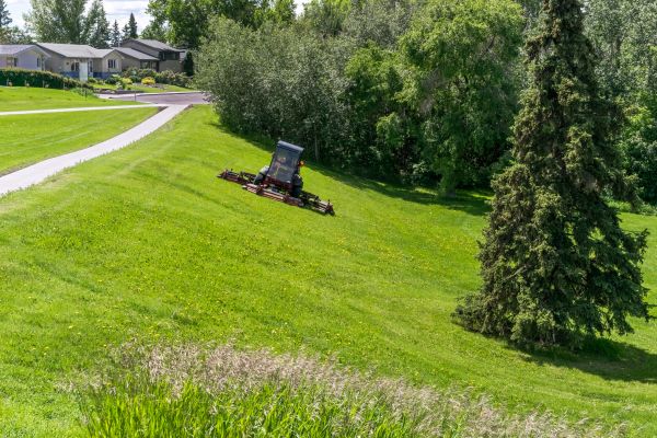 Hill Mowing in Reno