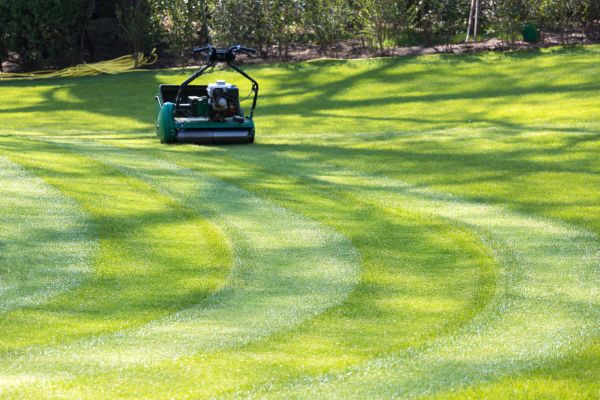 Cost of Business Lawn Mowing in Reno