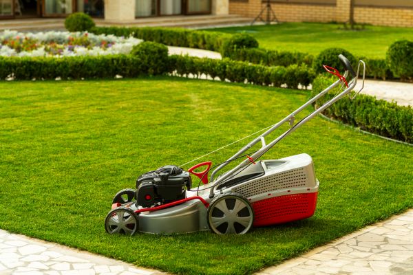 Cost of Business Grass Cutting in Reno