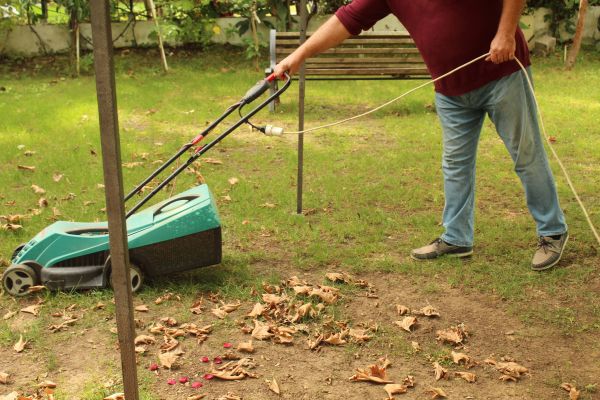 Cost of Leaves Mowing in Reno