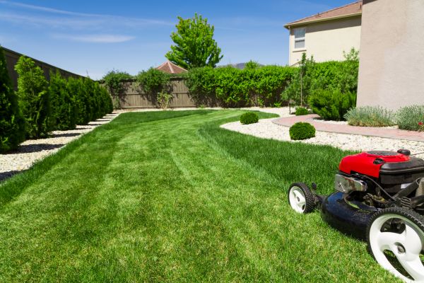 Cost of Residential Lawn Mowing in Reno