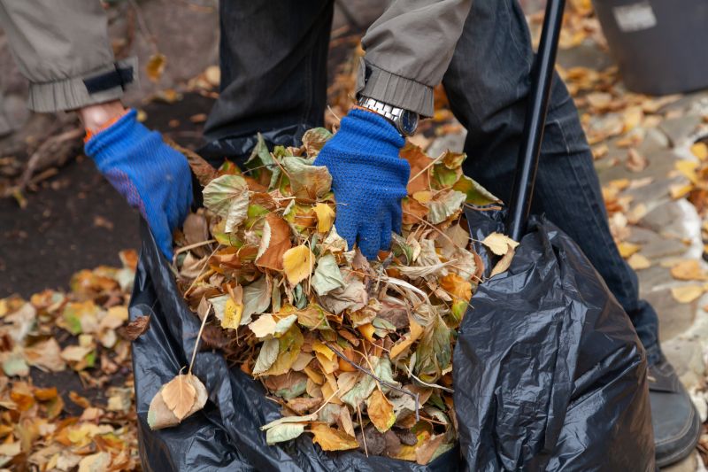 Aerial View of Leaf Collection