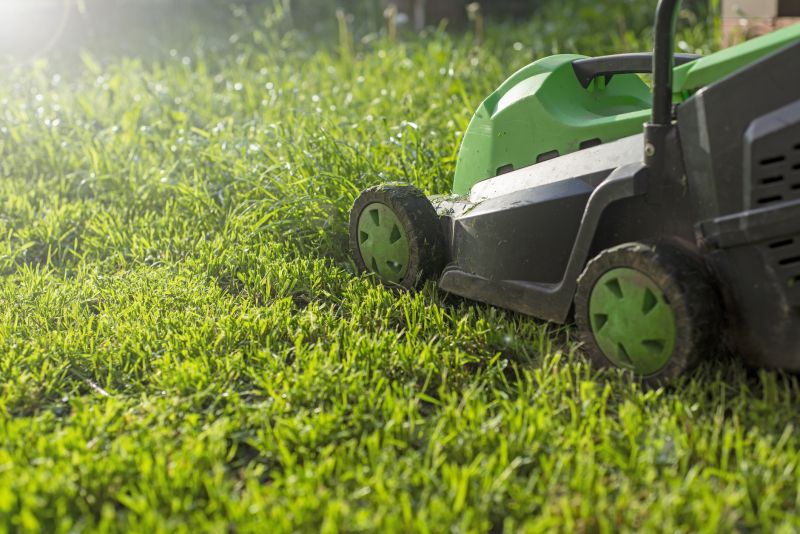 Home Lawn Maintenance