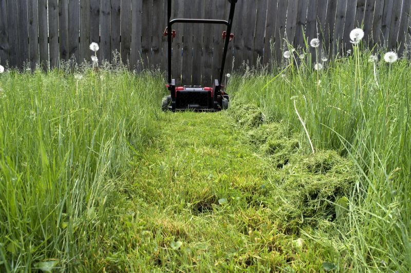 Lawn Mowing Equipment 3