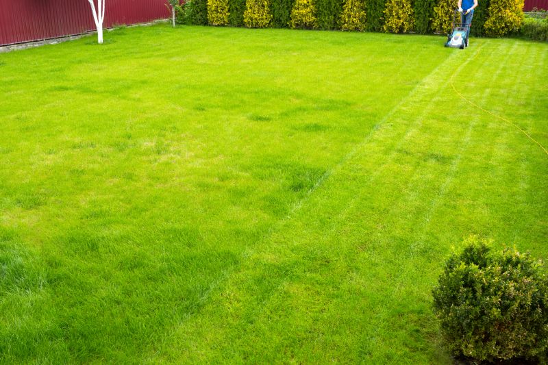 Yard Before Mowing
