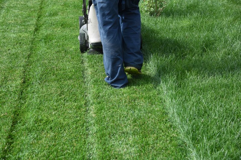 Lawn Maintenance Companies